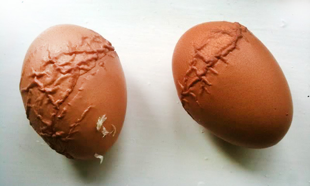 Деформированные яйца