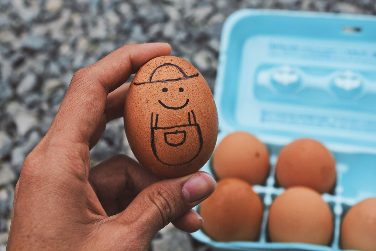 Как правильно хранить инкубационные яйца