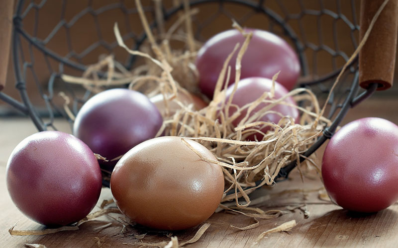 срок хранения куриных яиц
